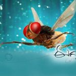 9 Years For Eaga Movie